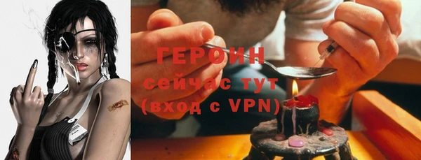 шишки Лабытнанги