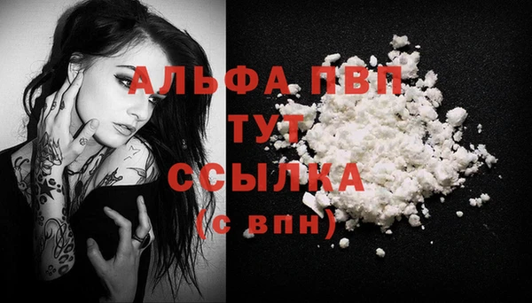 шишки Лабытнанги