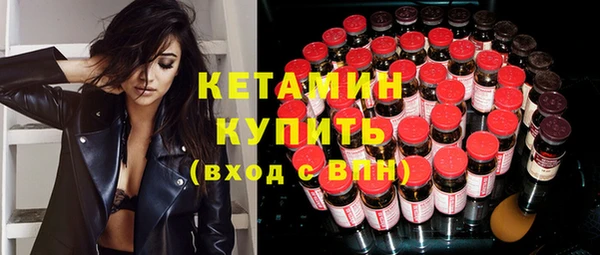 шишки Лабытнанги
